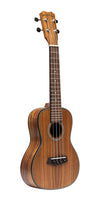 SAC-4 Traditional concert ukulele with solid acacia top Islander