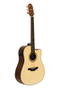 HD100-CE-N Silver series 100 dreadnought acoustic-electric guitar with cutaway Crafter