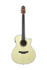 HG100-CE-N Silver series 100 Grand auditorium acoustic-electric guitar with cutaway Crafter