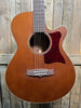 Tanglewood Sundance Acoustic-Electric Guitar (Pre-Owned)