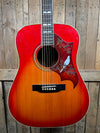 Alvarez Dove 5024 Acoustic Guitar (Pre-Owned)