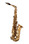 STAGG Eb alto saxophone, hand-engraved bell, with soft case LV-AS4105